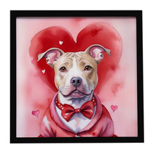 Load image into Gallery viewer, Pit Bull Terrier My Valentine Framed Metal Print