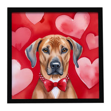 Load image into Gallery viewer, Rhodesian Ridgeback My Valentine Framed Metal Print