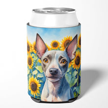 Load image into Gallery viewer, American Hairless Terrier in Sunflowers Can or Bottle Hugger