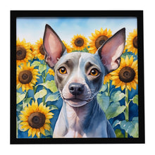 Load image into Gallery viewer, American Hairless Terrier in Sunflowers Framed Metal Print