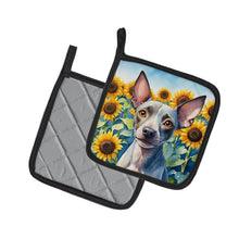 Load image into Gallery viewer, American Hairless Terrier in Sunflowers Pot Holders - Set of 2 Decorative Kitchen Helpers | Made in the USA