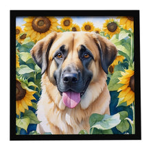 Load image into Gallery viewer, Anatolian Shepherd in Sunflowers Framed Metal Print
