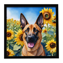 Load image into Gallery viewer, Belgian Malinois in Sunflowers Framed Metal Print