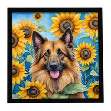 Load image into Gallery viewer, Belgian Tervuren in Sunflowers Framed Metal Print
