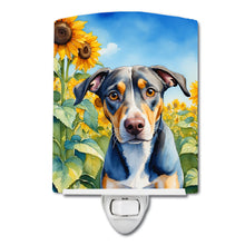 Load image into Gallery viewer, Catahoula in Sunflowers Ceramic Night Light