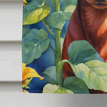 Load image into Gallery viewer, Dachshund in Sunflowers House Flag
