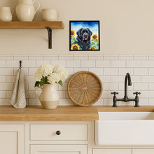 Load image into Gallery viewer, Newfoundland in Sunflowers Framed Metal Print