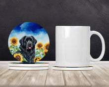 Load image into Gallery viewer, Newfoundland in Sunflowers Large Sandstone Coasters Pack of 4