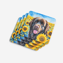 Load image into Gallery viewer, Newfoundland in Sunflowers Coasters - Set of 4 Lightweight Foam, Absorbent Drink Coasters