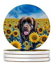 Load image into Gallery viewer, Newfoundland in Sunflowers Large Sandstone Coasters Pack of 4