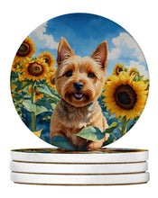 Load image into Gallery viewer, Norwich Terrier in Sunflowers Large Sandstone Coasters Pack of 4