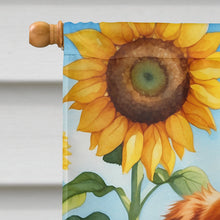 Load image into Gallery viewer, Nova Scotia Duck Toller in Sunflowers House Flag