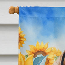 Load image into Gallery viewer, Pointer in Sunflowers House Flag