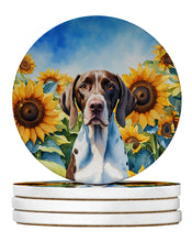Load image into Gallery viewer, Pointer in Sunflowers Large Sandstone Coasters Pack of 4