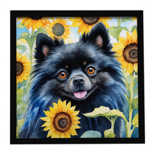 Load image into Gallery viewer, Pomeranian in Sunflowers Framed Metal Print