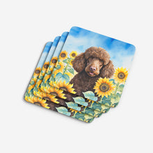 Load image into Gallery viewer, Chocolate Poodle in Sunflowers Coasters - Set of 4 Lightweight Foam, Absorbent Drink Coasters