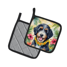 Load image into Gallery viewer, Bernedoodle Luau Pot Holders - Set of 2 Decorative Kitchen Helpers | Made in the USA