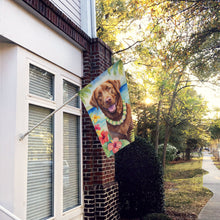 Load image into Gallery viewer, Chesapeake Bay Retriever Luau House Flag