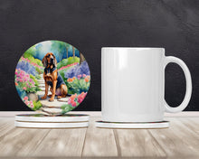 Load image into Gallery viewer, Bloodhound Spring Path Large Sandstone Coasters Pack of 4