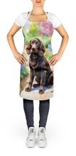 Load image into Gallery viewer, Boykin Spaniel Spring Path Apron – Artist-Designed Kitchen, BBQ &amp; Craft Apron