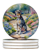 Load image into Gallery viewer, Catahoula Spring Path Large Sandstone Coasters Pack of 4