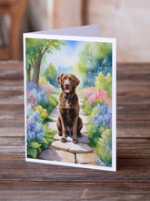 Load image into Gallery viewer, Chesapeake Bay Retriever Spring Path Greeting Cards - Blank Note Cards – 8-Pack of Artist-Designed Cards with Envelopes