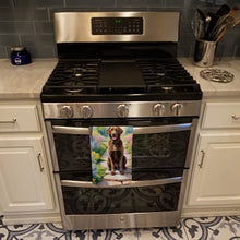 Load image into Gallery viewer, Chesapeake Bay Retriever Spring Path Kitchen Towel