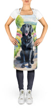 Load image into Gallery viewer, Flat-Coated Retriever Spring Path Apron – Artist-Designed Kitchen, BBQ &amp; Craft Apron