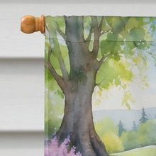 Load image into Gallery viewer, Irish Setter Spring Path House Flag