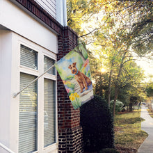 Load image into Gallery viewer, Irish Terrier Spring Path House Flag