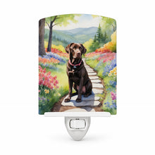 Load image into Gallery viewer, Labrador Retriever Spring Path Ceramic Night Light Compact, UL-Certified, Ideal for Bedroom, Bathroom, Nursery, Hallway, Kitchen, 6x4x3, Multicolor