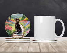 Load image into Gallery viewer, Labrador Retriever Spring Path Large Sandstone Coasters Pack of 4