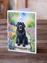 Load image into Gallery viewer, Newfoundland Spring Path Greeting Cards - Blank Note Cards – 8-Pack of Artist-Designed Cards with Envelopes