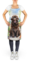 Load image into Gallery viewer, Newfoundland Spring Path Apron – Artist-Designed Kitchen, BBQ &amp; Craft Apron
