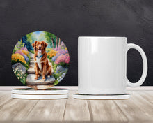 Load image into Gallery viewer, Nova Scotia Duck Tolling Retriever Spring Path Large Sandstone Coasters Pack of 4