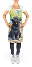 Load image into Gallery viewer, Puli Spring Path Apron – Artist-Designed Kitchen, BBQ &amp; Craft Apron