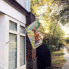 Load image into Gallery viewer, Rhodesian Ridgeback Spring Path House Flag