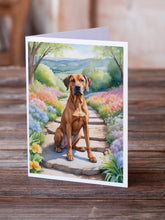 Load image into Gallery viewer, Rhodesian Ridgeback Spring Path Greeting Cards - Blank Note Cards – 8-Pack of Artist-Designed Cards with Envelopes