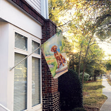 Load image into Gallery viewer, Vizsla Spring Path House Flag
