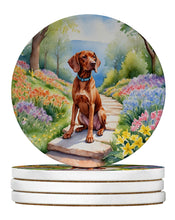 Load image into Gallery viewer, Vizsla Spring Path Large Sandstone Coasters Pack of 4