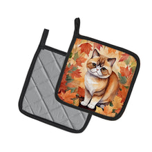 Load image into Gallery viewer, Exotic Shorthair Cat in Fall Leaves Pot Holders - Set of 2 Decorative Kitchen Helpers | Made in the USA