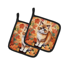 Load image into Gallery viewer, Exotic Shorthair Cat in Fall Leaves Pot Holders - Set of 2 Decorative Kitchen Helpers | Made in the USA