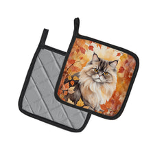 Load image into Gallery viewer, Persian Cat in Fall Leaves Pot Holders - Set of 2 Decorative Kitchen Helpers | Made in the USA