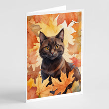 Load image into Gallery viewer, York Chocolate Cat in Fall Leaves Greeting Cards - Blank Note Cards – 8-Pack of Artist-Designed Cards with Envelopes