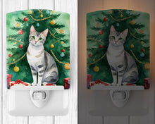 Load image into Gallery viewer, European Shorthair Cat By the Christmas Tree Ceramic Night Light