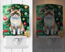 Load image into Gallery viewer, Exotic Shorthair Cat By the Christmas Tree Ceramic Night Light