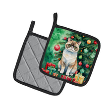 Load image into Gallery viewer, Exotic Shorthair Cat By the Christmas Tree Pot Holders - Set of 2 Decorative Kitchen Helpers | Made in the USA
