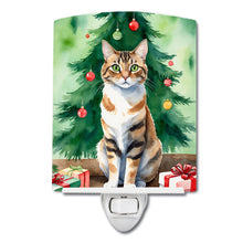 Load image into Gallery viewer, Owyhee Bob Cat By the Christmas Tree Ceramic Night Light
