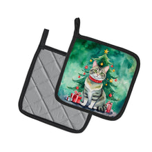 Load image into Gallery viewer, Raas Cat By the Christmas Tree Pot Holders - Set of 2 Decorative Kitchen Helpers | Made in the USA