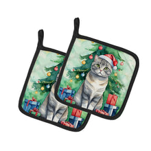 Load image into Gallery viewer, Scottish Fold Cat By the Christmas Tree Pot Holders - Set of 2 Decorative Kitchen Helpers | Made in the USA